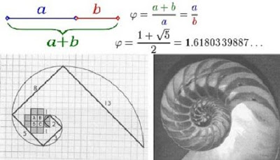 fibonacci1.jpg